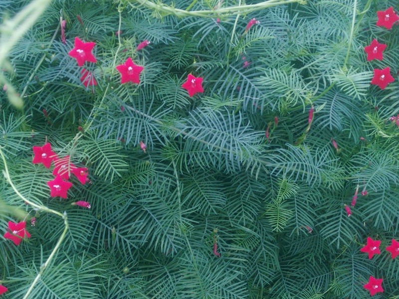 1601118109514247.jpg 2.jpg