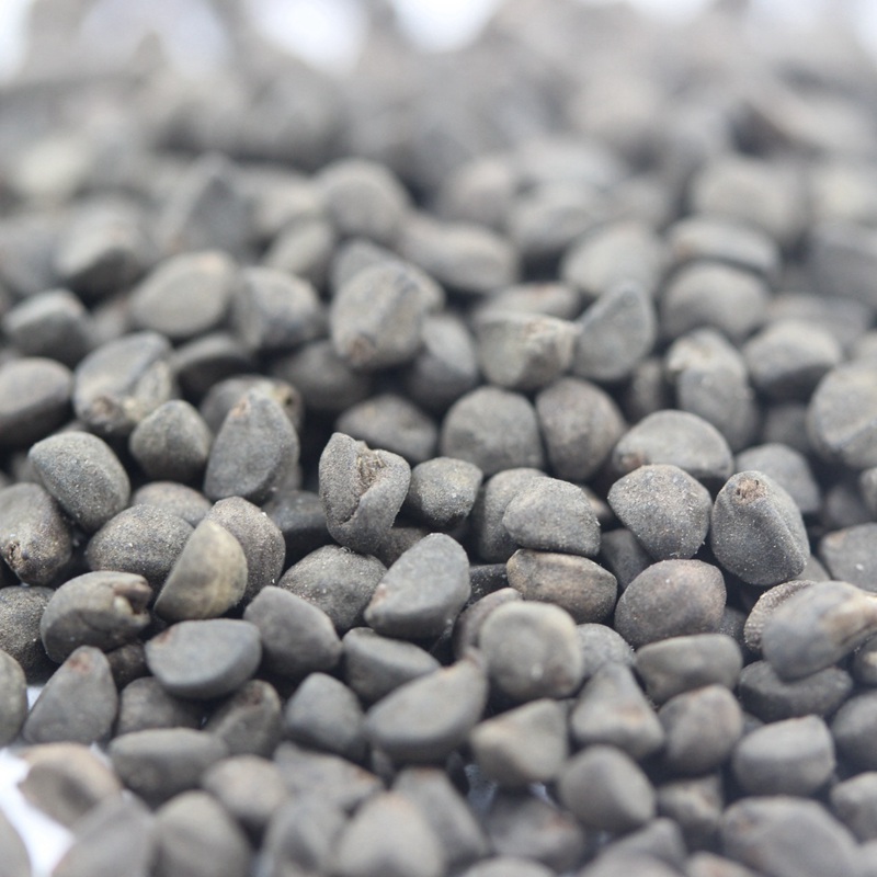 1601646923147358.jpg 鶯羅 (3).JPG