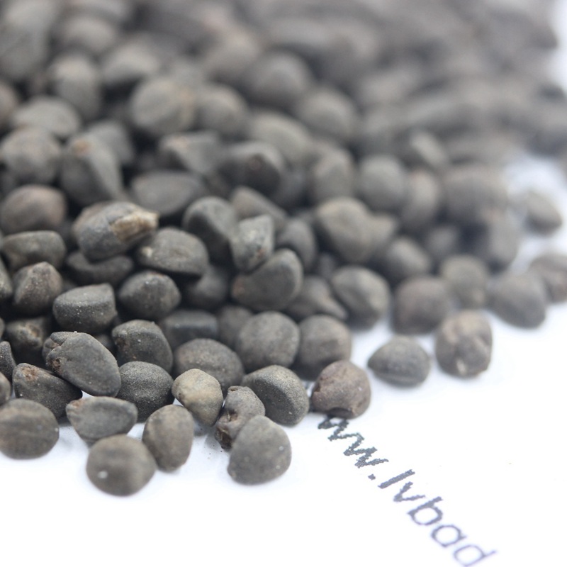 1601646928326427.jpg 鶯羅 (4).JPG